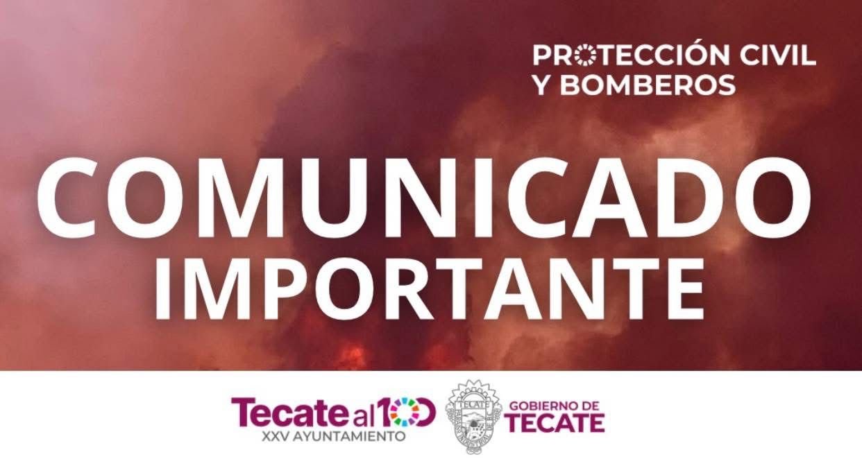 WhatsApp Image 2026-02-22 at 12.04.56