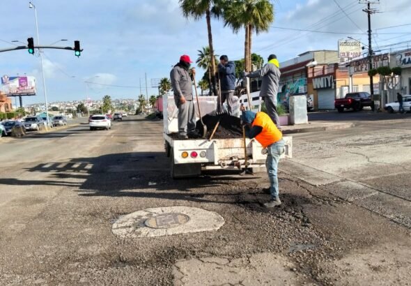 WhatsApp Image 2026-02-23 at 11.27.01