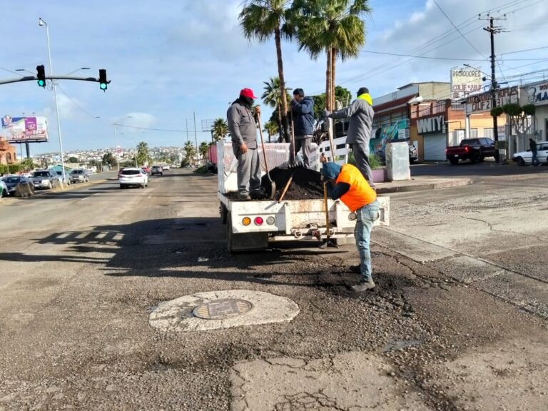 WhatsApp Image 2026-02-23 at 11.27.01