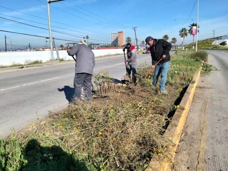 WhatsApp Image 2026-02-23 at 11.32.02