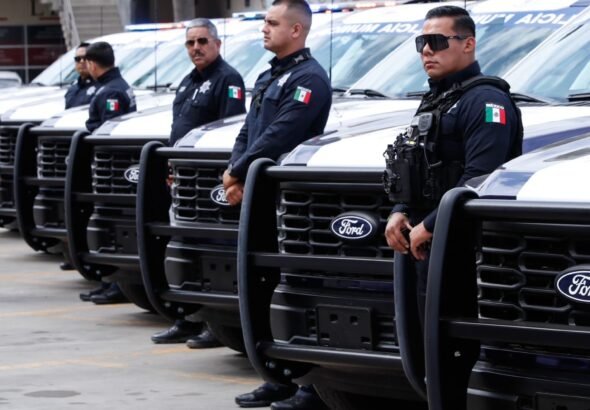 WhatsApp Image 2026-02-24 at 14.06.09 (2)