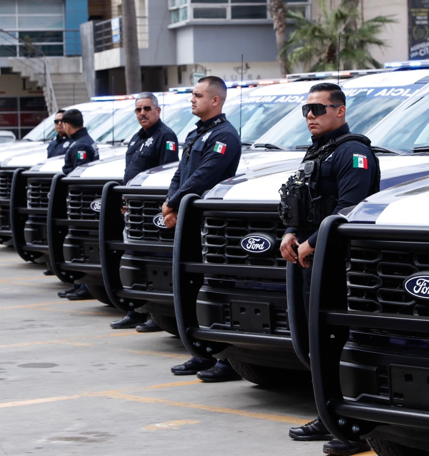 WhatsApp Image 2026-02-24 at 14.06.09 (2)