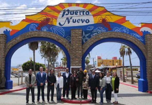 WhatsApp Image 2026-02-25 at 14.34.51