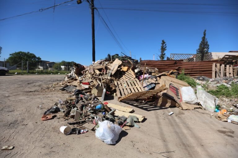 WhatsApp Image 2026-02-27 at 16.54.42