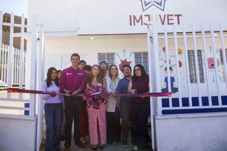 WhatsApp Image 2026-02-27 at 16.55.07 (1)