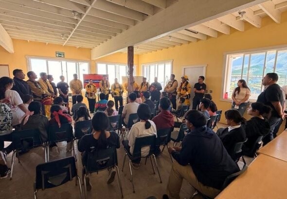 WhatsApp Image 2026-02-28 at 12.12.52