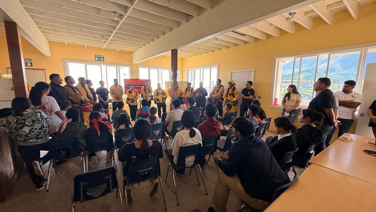 WhatsApp Image 2026-02-28 at 12.12.52