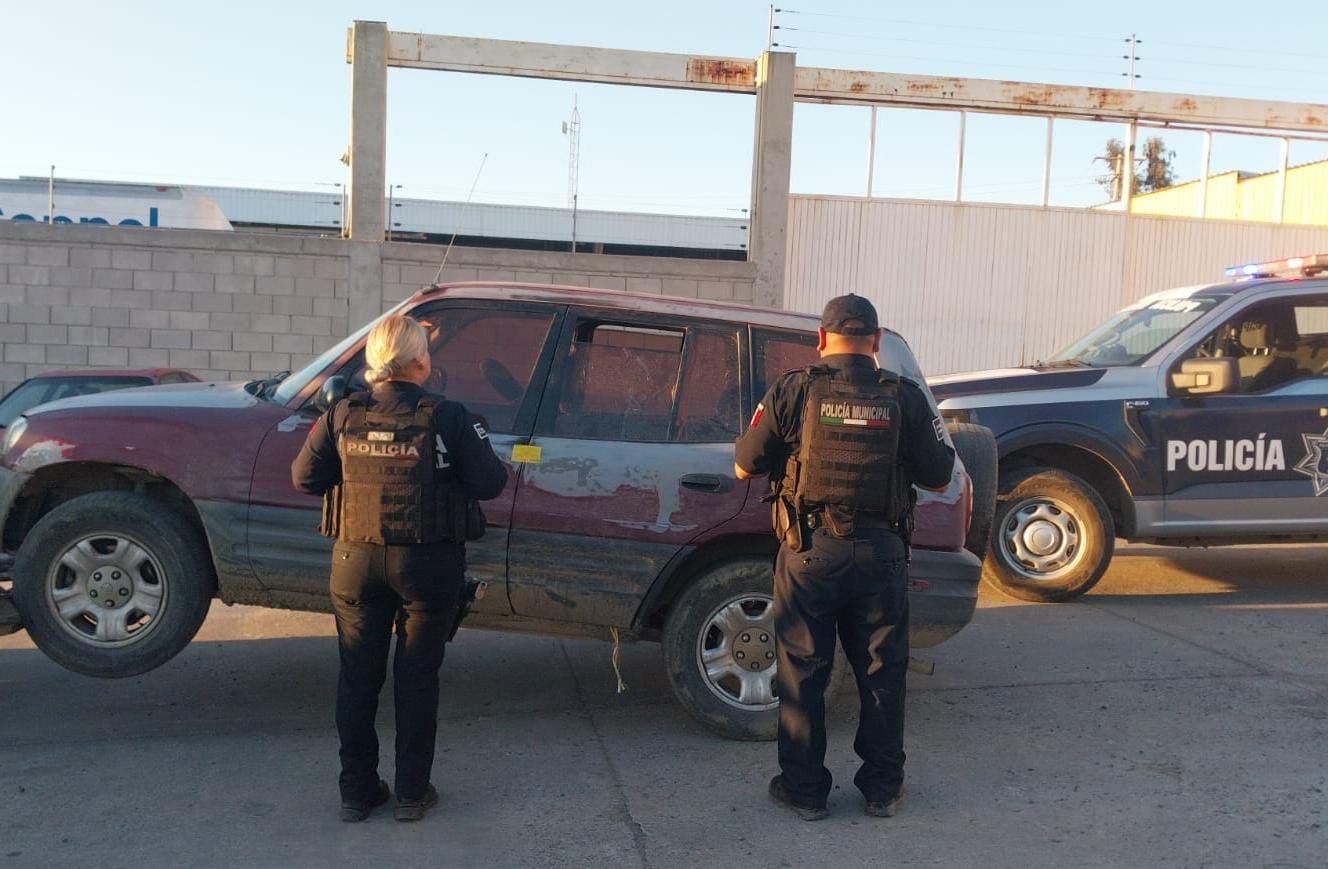 WhatsApp Image 2026-02-28 at 13.45.59