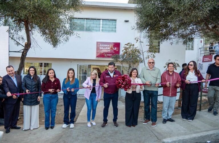 WhatsApp Image 2026-03-01 at 19.06.46