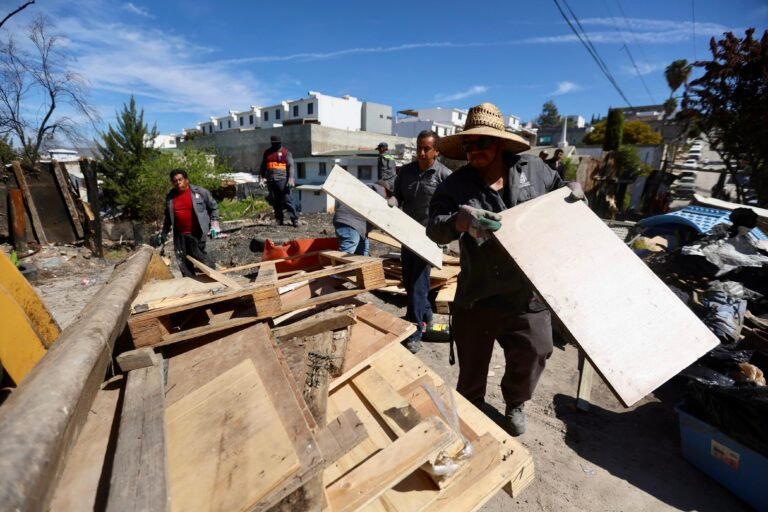 WhatsApp Image 2026-03-02 at 14.10.19