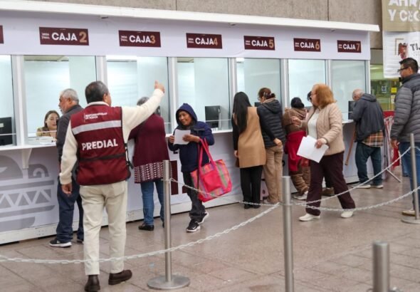 WhatsApp Image 2026-03-03 at 14.24.00