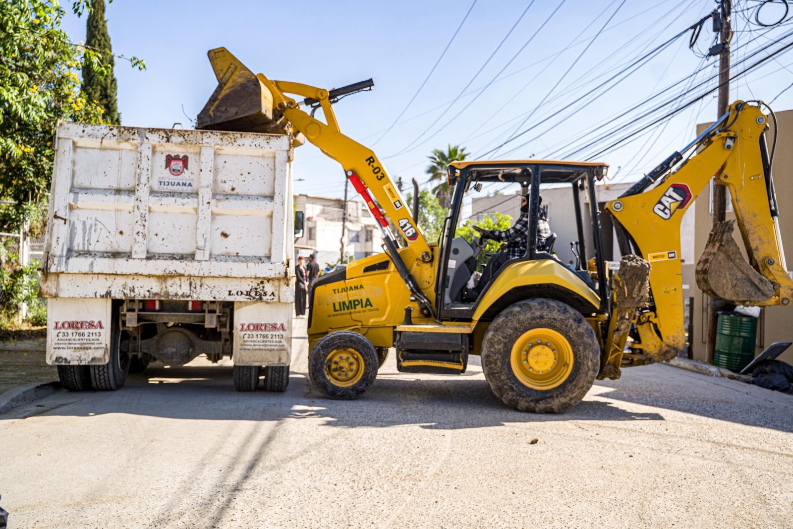 WhatsApp Image 2026-03-03 at 19.04.30