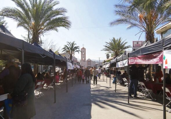 WhatsApp Image 2026-03-04 at 17.45.23