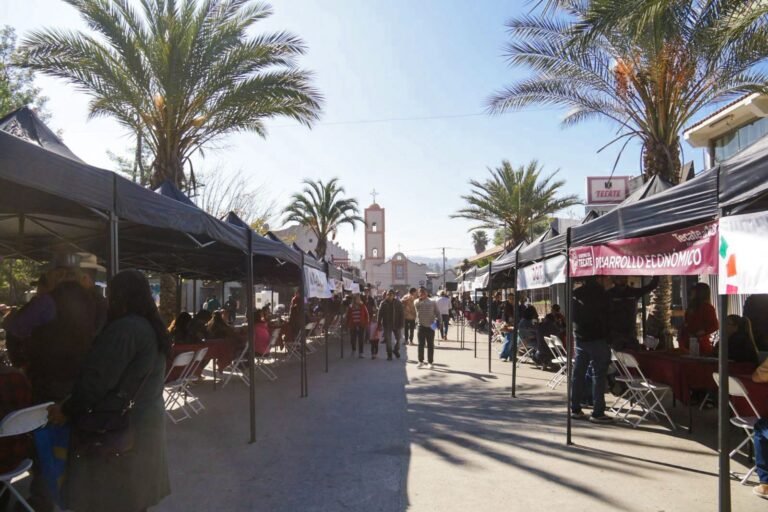 WhatsApp Image 2026-03-04 at 17.45.23