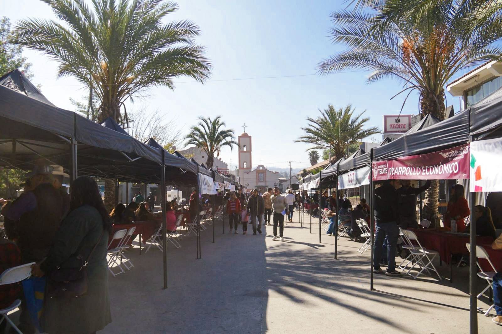 WhatsApp Image 2026-03-04 at 17.45.23