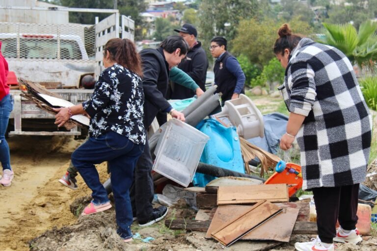 WhatsApp Image 2026-03-04 at 17.46.31