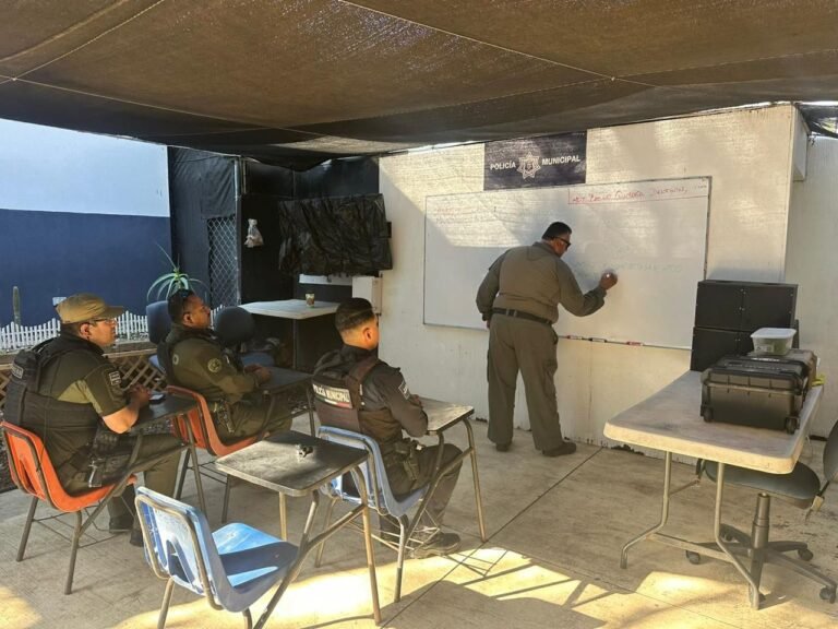 WhatsApp Image 2026-03-05 at 09.29.07