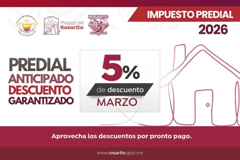 WhatsApp Image 2026-03-05 at 16.06.49