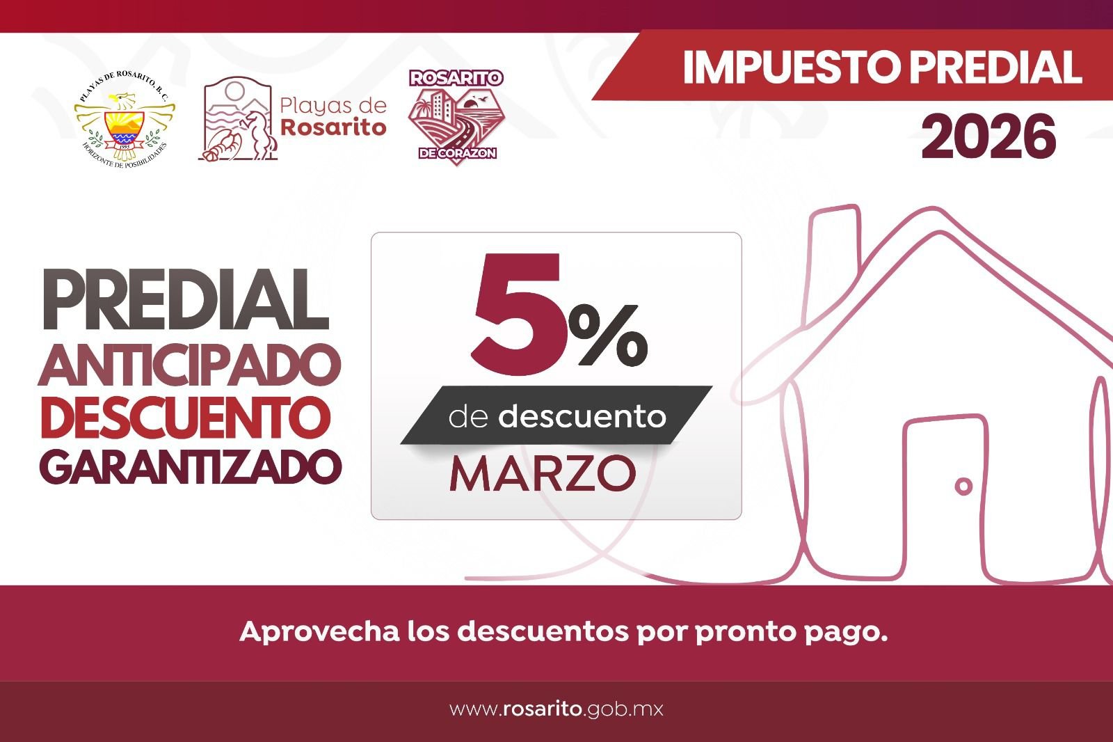 WhatsApp Image 2026-03-05 at 16.06.49