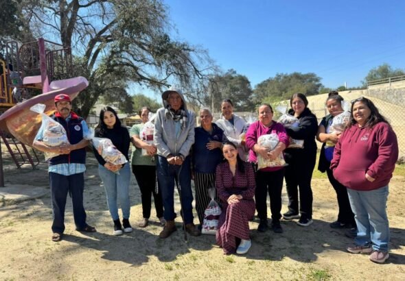 WhatsApp Image 2026-03-06 at 11.52.37