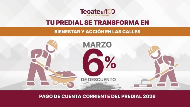 WhatsApp Image 2026-03-06 at 15.57.54