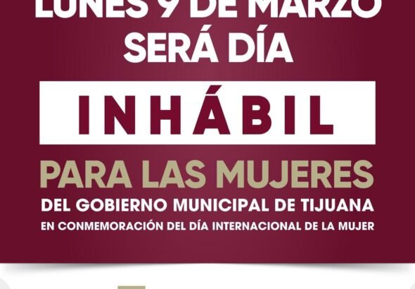 WhatsApp Image 2026-03-07 at 08.28.52