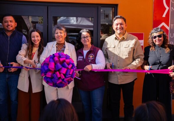 WhatsApp Image 2026-03-08 at 16.29.54