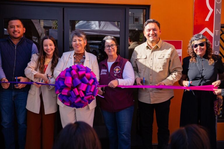 WhatsApp Image 2026-03-08 at 16.29.54