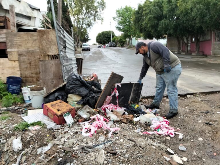 WhatsApp Image 2026-03-09 at 08.58.19