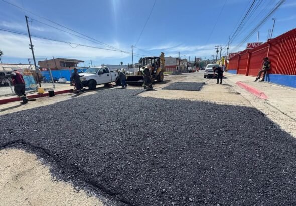 WhatsApp Image 2026-03-09 at 15.26.05