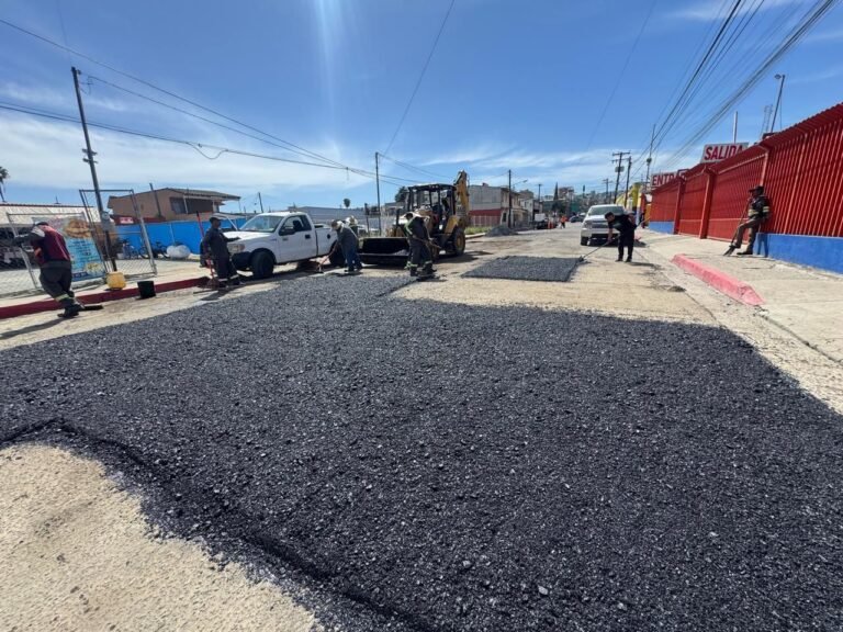 WhatsApp Image 2026-03-09 at 15.26.05