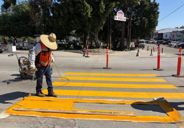 WhatsApp Image 2026-03-09 at 15.26.26