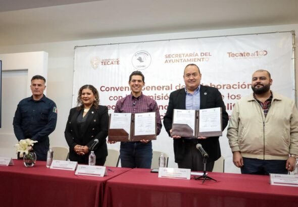 WhatsApp Image 2026-03-10 at 17.28.45 (1)