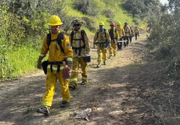 WhatsApp Image 2026-03-11 at 09.32.35