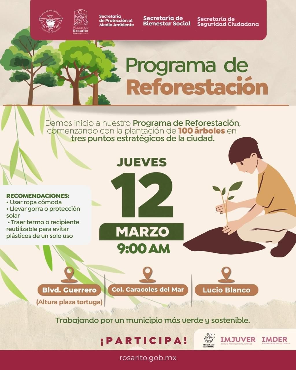 WhatsApp Image 2026-03-11 at 11.33.26