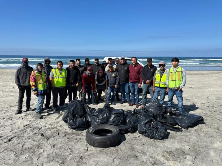 WhatsApp Image 2026-03-12 at 10.34.12