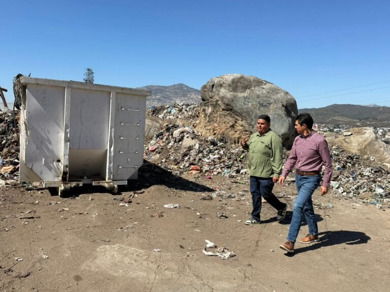 WhatsApp Image 2026-03-12 at 17.30.25