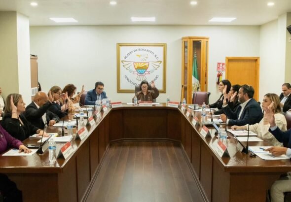 WhatsApp Image 2026-03-13 at 13.47.24