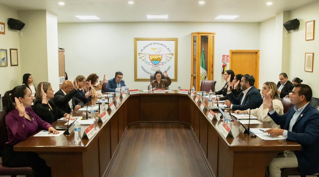 WhatsApp Image 2026-03-13 at 13.47.24