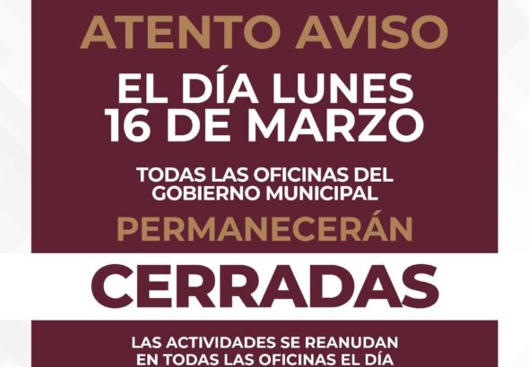 WhatsApp Image 2026-03-13 at 15.22.06