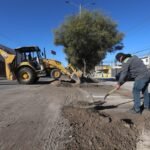 WhatsApp Image 2026-03-13 at 16.35.55 (2)