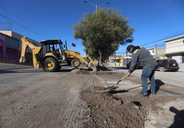 WhatsApp Image 2026-03-13 at 16.35.55 (2)