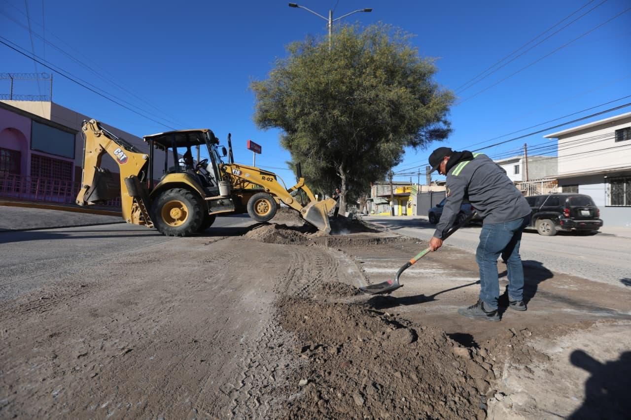 WhatsApp Image 2026-03-13 at 16.35.55 (2)