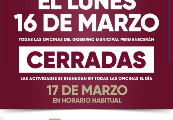 WhatsApp Image 2026-03-14 at 16.02.41