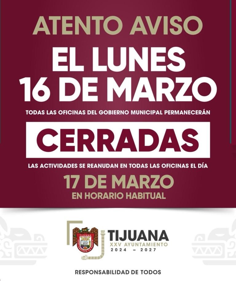 WhatsApp Image 2026-03-14 at 16.02.41