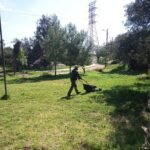 WhatsApp Image 2026-03-14 at 16.03.05