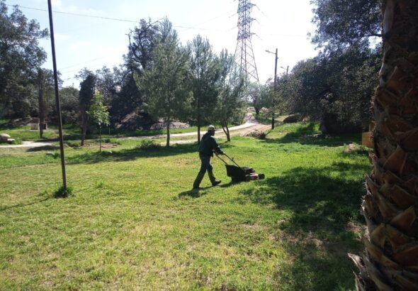 WhatsApp Image 2026-03-14 at 16.03.05