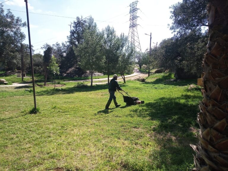 WhatsApp Image 2026-03-14 at 16.03.05