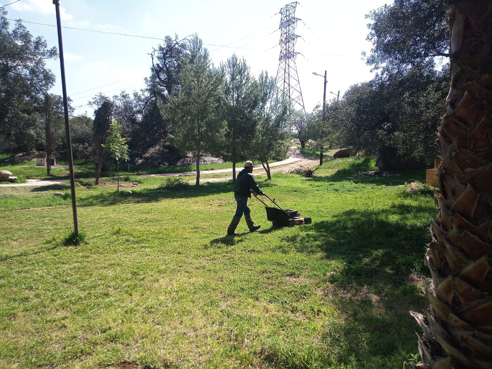 WhatsApp Image 2026-03-14 at 16.03.05