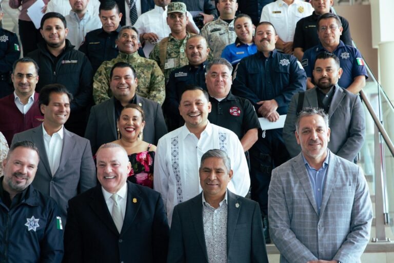 WhatsApp Image 2026-03-15 at 12.41.32